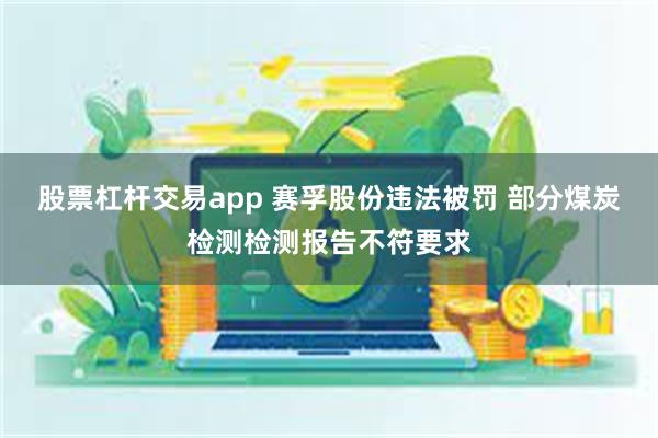 股票杠杆交易app 赛孚股份违法被罚 部分煤炭检测检测报告不符要求