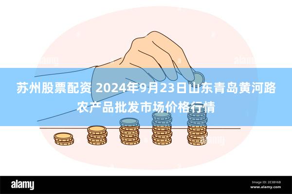 苏州股票配资 2024年9月23日山东青岛黄河路农产品批发市场价格行情