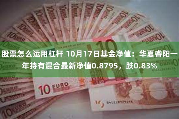 股票怎么运用杠杆 10月17日基金净值：华夏睿阳一年持有混合最新净值0.8795，跌0.83%