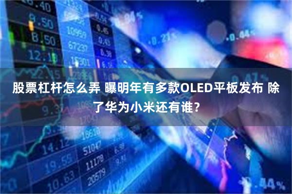 股票杠杆怎么弄 曝明年有多款OLED平板发布 除了华为小米还有谁？