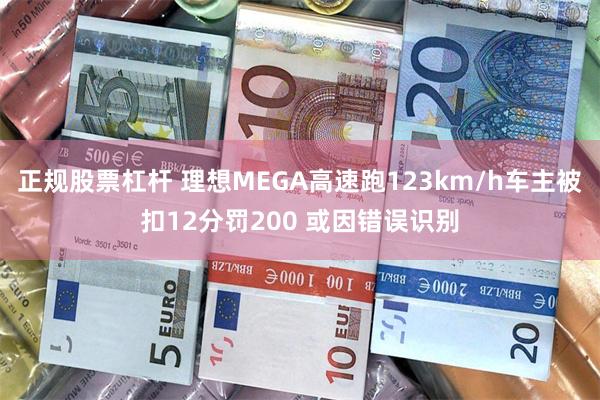 正规股票杠杆 理想MEGA高速跑123km/h车主被扣12分罚200 或因错误识别