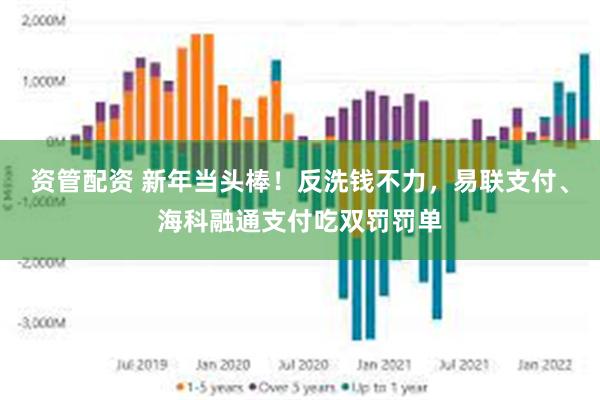 资管配资 新年当头棒！反洗钱不力，易联支付、海科融通支付吃双罚罚单