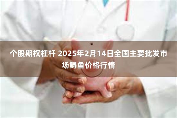 个股期权杠杆 2025年2月14日全国主要批发市场鲟鱼价格行情